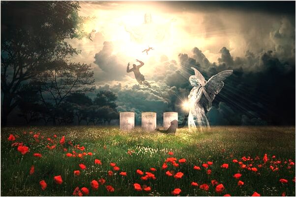 夢到了別人洗蝦仁是好事還是壞事_周公解夢官網