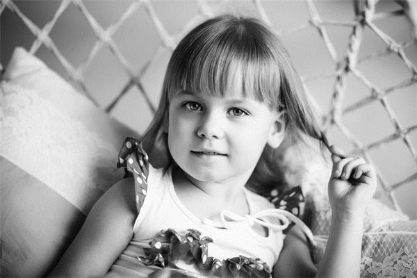 2013年的生肖屬相_十二生肖