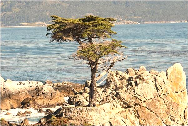 夢到了房子基礎整改有什麼預兆_周公解夢官網