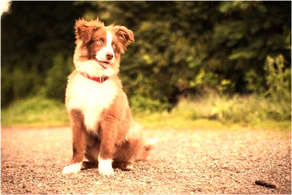 夢到了磞級摔下去了有什麼意義嗎_周公解夢官網