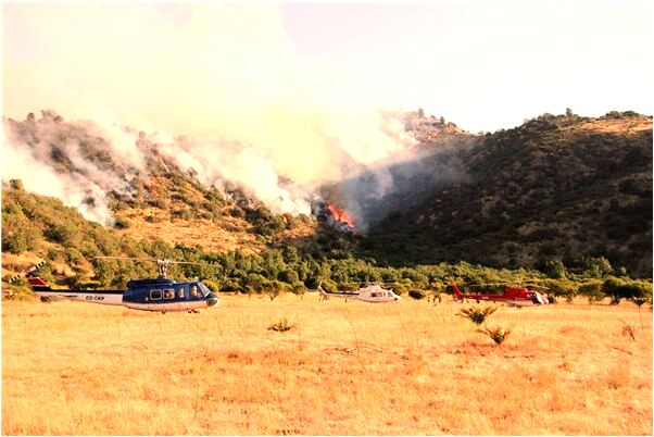 夢見女士手提包在集上丟了是什麼預兆?_周公解夢官網
