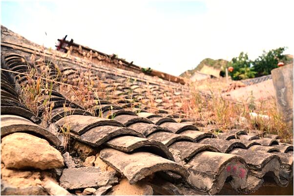 夢到自己被殭屍咬了好不好_周公解夢官網