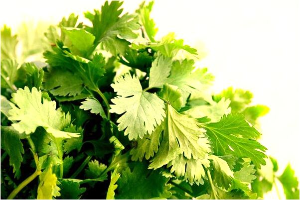 夢見皇袍加身預示了什麼_周公解夢官網