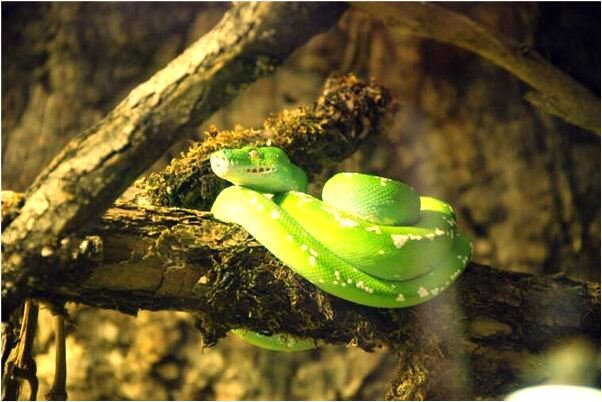 夢到了電腦被偷換有什麼預兆_周公解夢官網