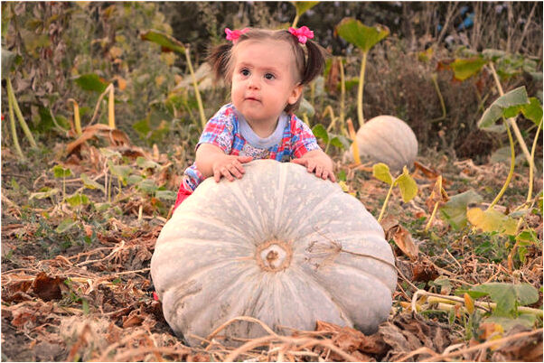 夢見和單位人一起做大巴出去有什麼寓意嗎_周公解夢官網