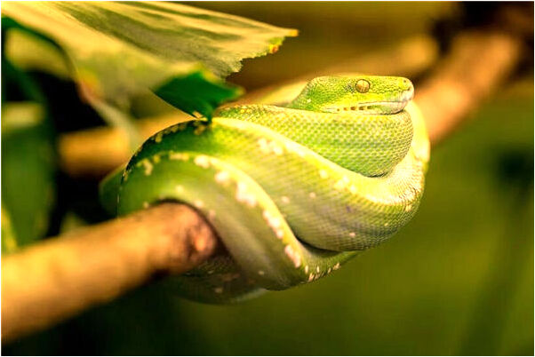 夢到跟自己死去的兒子跟自己誰預示什麼_周公解夢官網