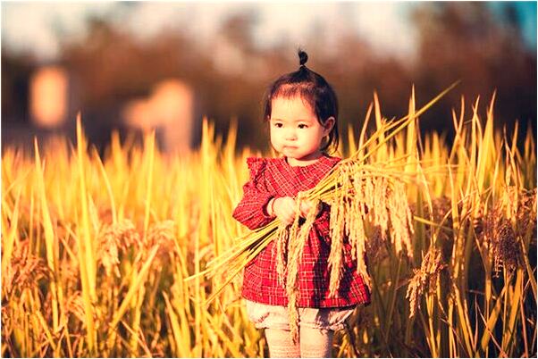 夢到了夢四條雷公蟲是什麼兆頭_周公解夢官網