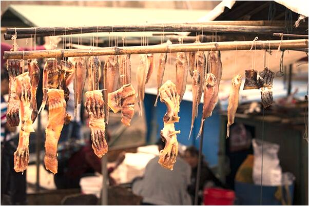 夢到了貨車穿過家意味著什麼_周公解夢官網