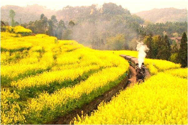 夢到車身得財預示什麼_周公解夢官網