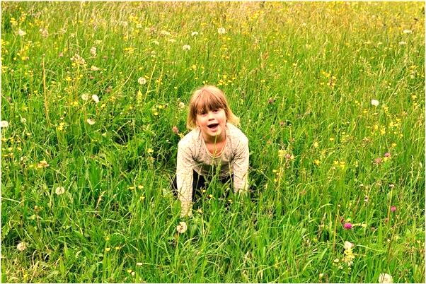 夢到了眼角開裂是什麼預兆_周公解夢官網