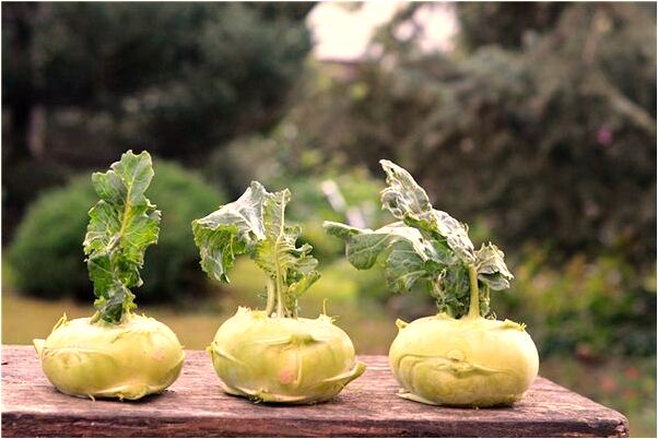 夢到了別人送給自己兩個紅色褲頭有什麼意思_周公解夢官網