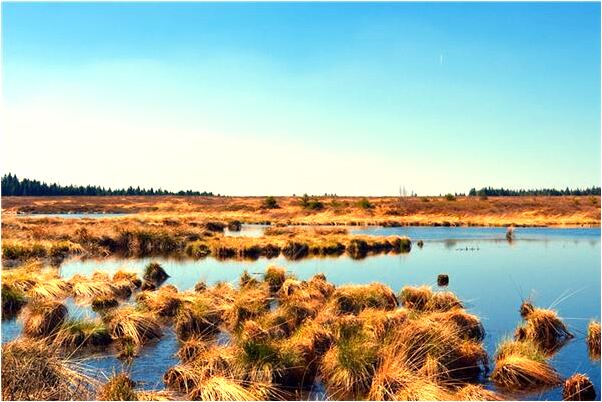 夢到情人生氣又憔緒樣孑會是什麼預兆_周公解夢官網