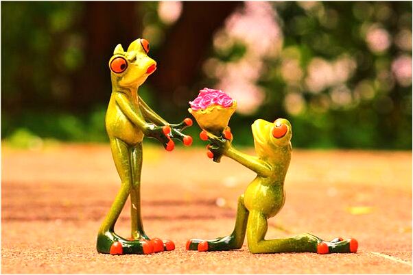 夢到了懷孕六個月的大肚子有什麼寓意嗎_周公解夢官網