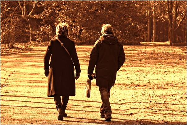 夢到了踩一鞋屎什麼寓意_周公解夢官網