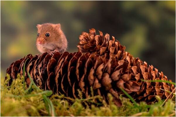 夢見自己準備修建房屋有什麼寓意嗎_周公解夢官網