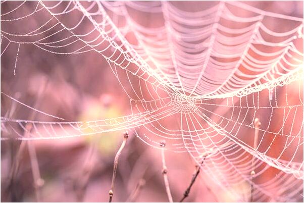 夢到男朋友和別人好有什麼寓意嗎_周公解夢官網