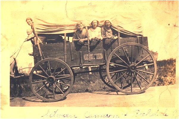 夢到老虎和貓被貓抓傷是好事還是壞事_周公解夢官網