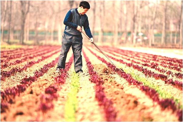 夢到了老婆被調戲意味著什麼_周公解夢官網