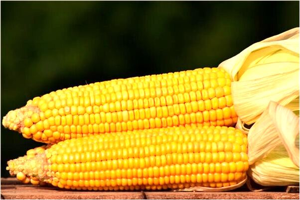 夢見對象被別人欺負我被槍殺預示什麼_周公解夢官網