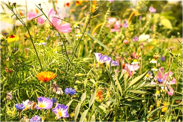 夢到了自己腿腐爛了什麼寓意_周公解夢官網