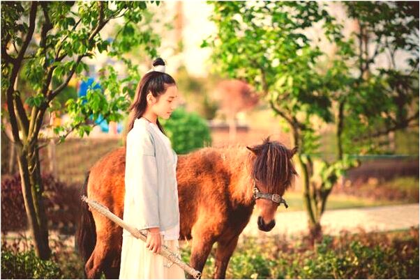 夢到了四色花是啥預兆_周公解夢官網