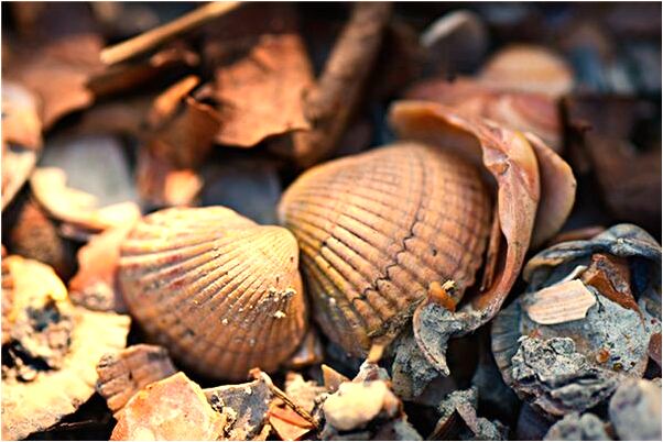 夢見和別的男人發生關係有什麼說法_周公解夢官網