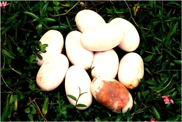 夢見舊情人找自己是好事還是壞事_周公解夢官網