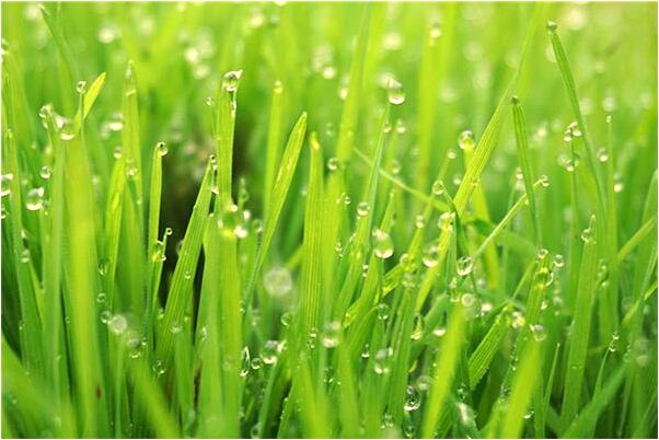 夢到和水麒麟交談會是什麼預兆_周公解夢官網