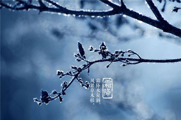 Dream of frost: frost and snow don't beg, frost and dew rare _ duke of zhou interprets