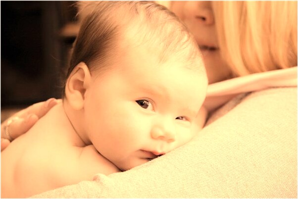 夢到了蛇群和猴群有什麼寓意嗎？_周公解夢官網