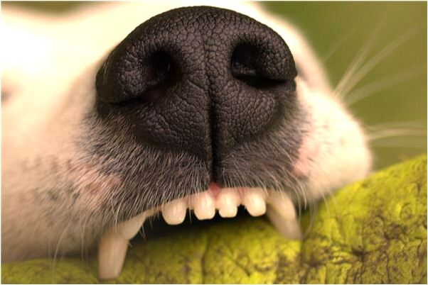 夢到了祭奠為死去的人誦經有什麼寓意嗎？_周公解夢官網