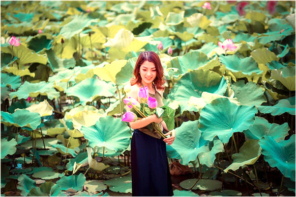 夢到很小黑鳥和鳥籠有什麼預示嗎_周公解夢官網