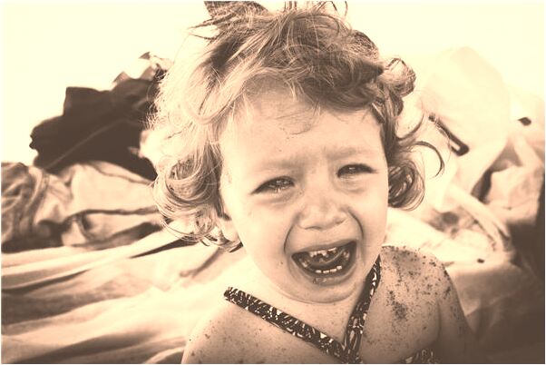 夢到自己拉滿滿一車糞代表什麼_周公解夢官網