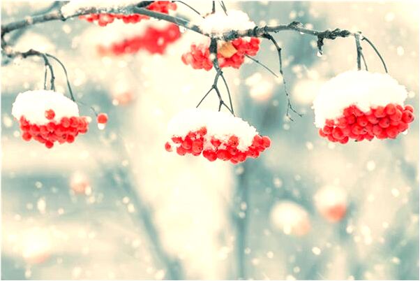 夢到了喜歡的人給我蓋被子預示什麼_周公解夢官網