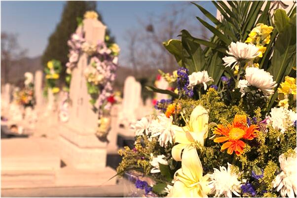 夢到別人送姜與我有什麼意思嗎_周公解夢官網