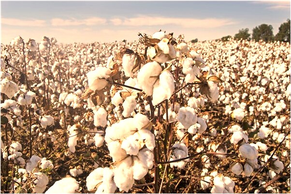 夢到了和同學鬧矛盾是凶兆還是吉兆_周公解夢官網