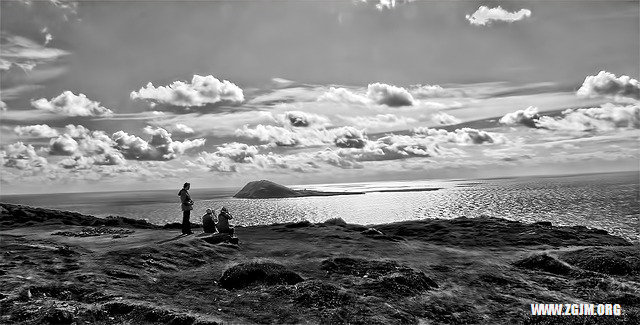 夢見生小貓_周公解夢夢到生小貓是什麼意思_做夢夢見生小貓好不好_周公解夢官網