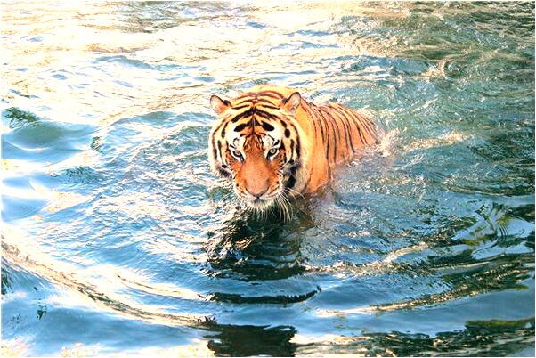 夢到與朋友爭吵預示什麼_周公解夢官網