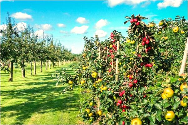 夢到了掉到水裡救起來預示了什麼_周公解夢官網