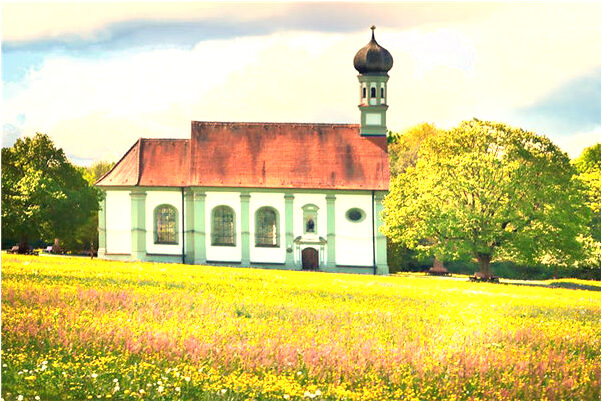 夢到了八隻睡覺獅子三隻貓一群狗是什麼預兆_周公解夢官網