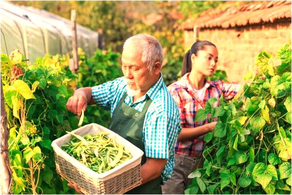 夢見有人纏著我是什麼意思_周公解夢官網