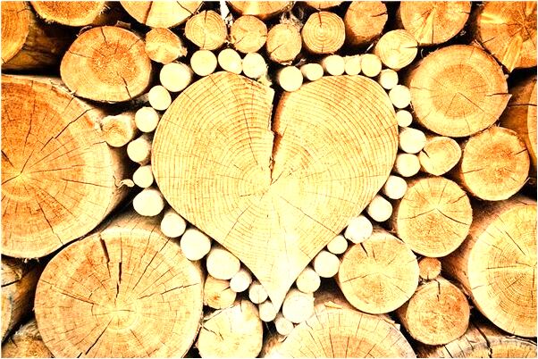 夢見性交自己踩死小老鼠是什麼預兆？_周公解夢官網