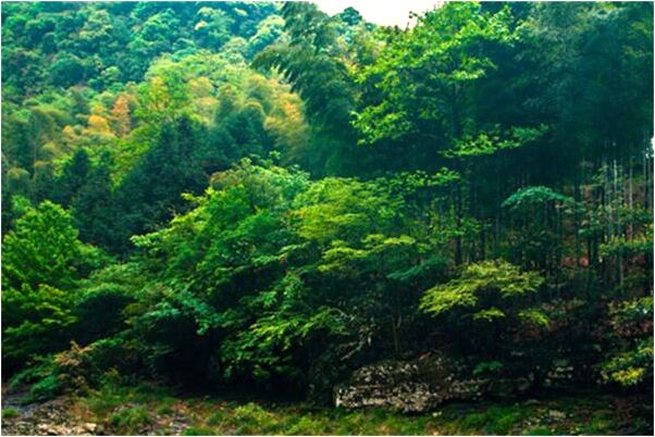 夢見在城市迷路有什麼預兆_周公解夢官網