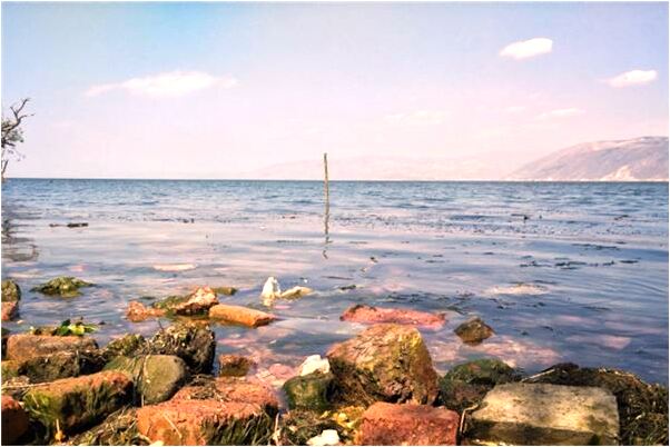 夢到了戀人受傷選擇了我意味著什麼_周公解夢官網