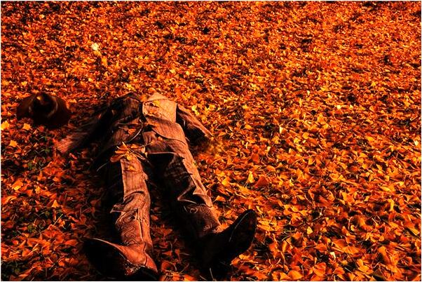 夢見別人的車燃燒會有什麼預兆_周公解夢官網