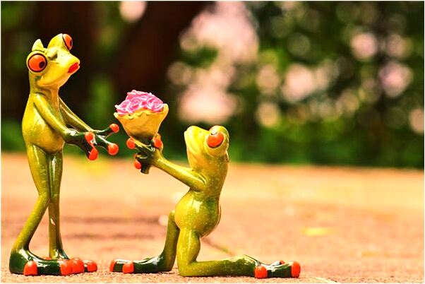 夢見別人給自己輸血是凶兆還是吉兆_周公解夢官網