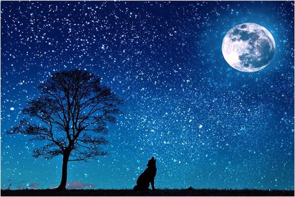 夢見自己換乾淨衣服代表著什麼？_周公解夢官網