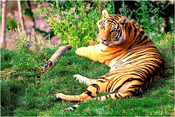 夢到工作總是出錯是好事還是壞事_周公解夢官網