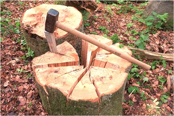 夢見車盜竊會怎么樣_周公解夢官網