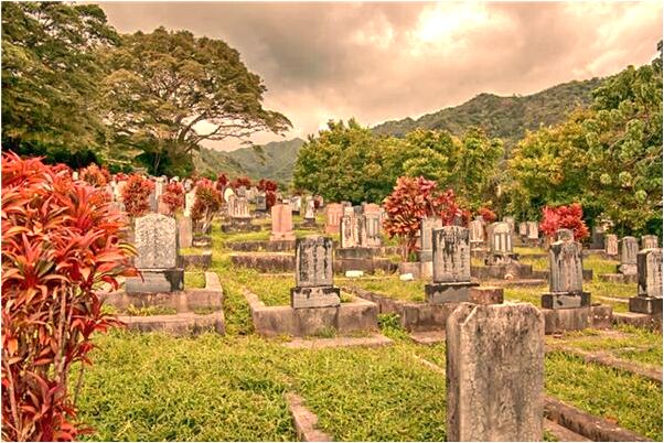 夢到動物變大預示什麼_周公解夢官網